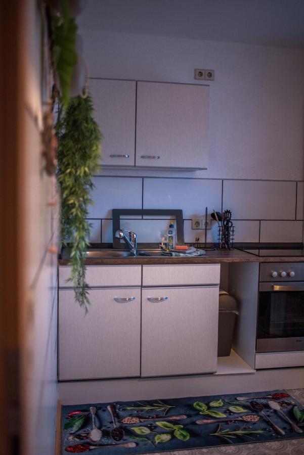 Ferienwohnung Gipfelblick Willingen  Exterior photo